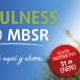 Curso Mindfulness Sevilla