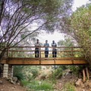 Alojamiento rural Cortijo Román, en Jimena de la Frontera (Cádiz)