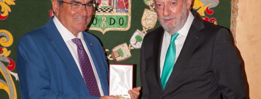 Carlos Álvarez Leiva, Medalla de Oro de la provincia de Sevilla