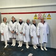 Programa de Proyectos Integrales para la inserción Laboral (T-Acompañamos)